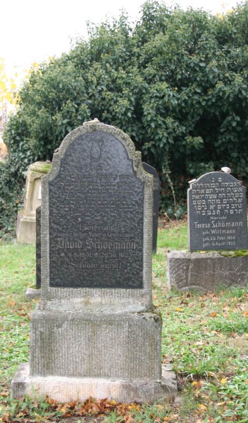 David Schönmann IMG 6488 500